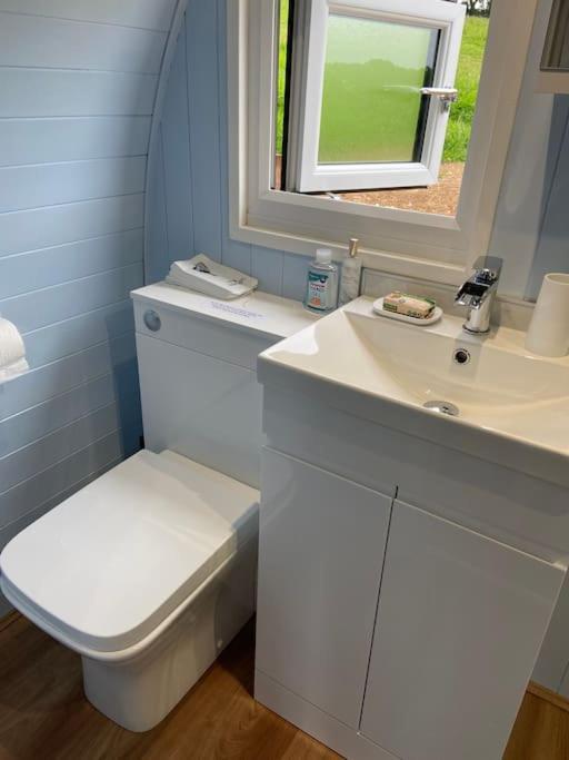 Secluded Luxury Pod With Hot Tub Holiday home Launceston