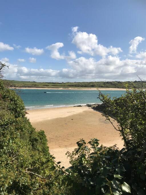 Secluded Luxury Pod With Hot Tub Holiday home Launceston